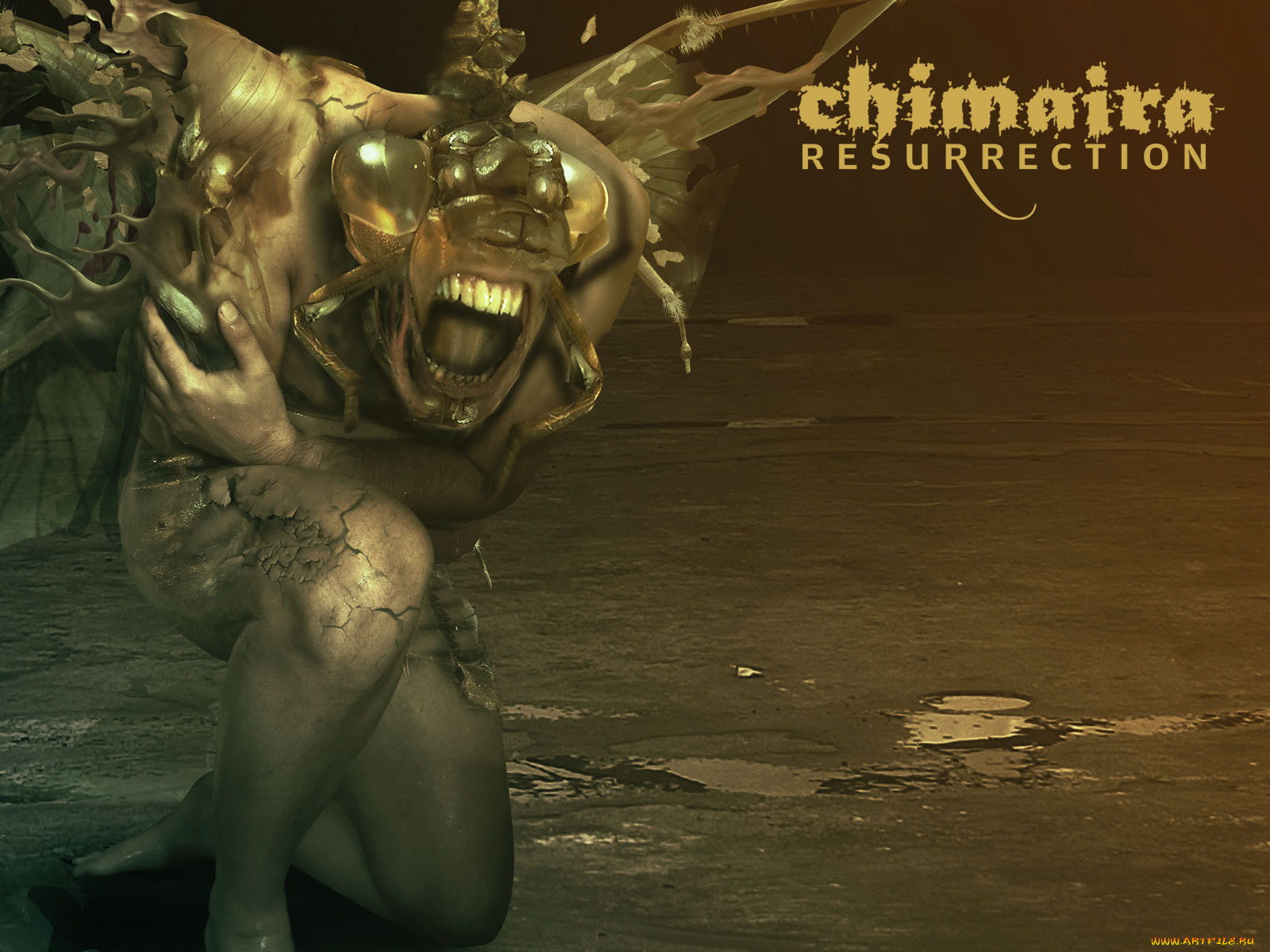 chimaira, 